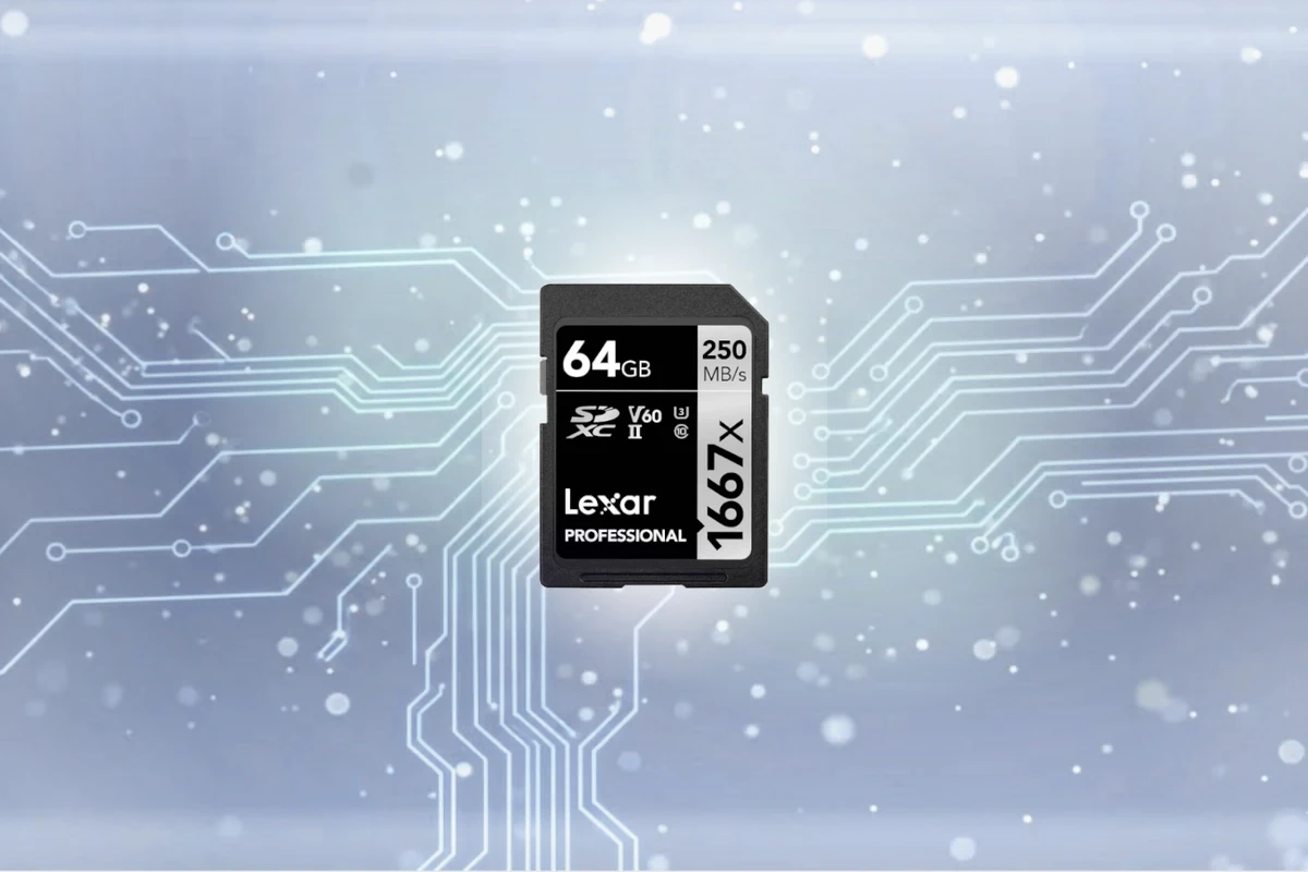 Lexar Professional Silver SD SD card