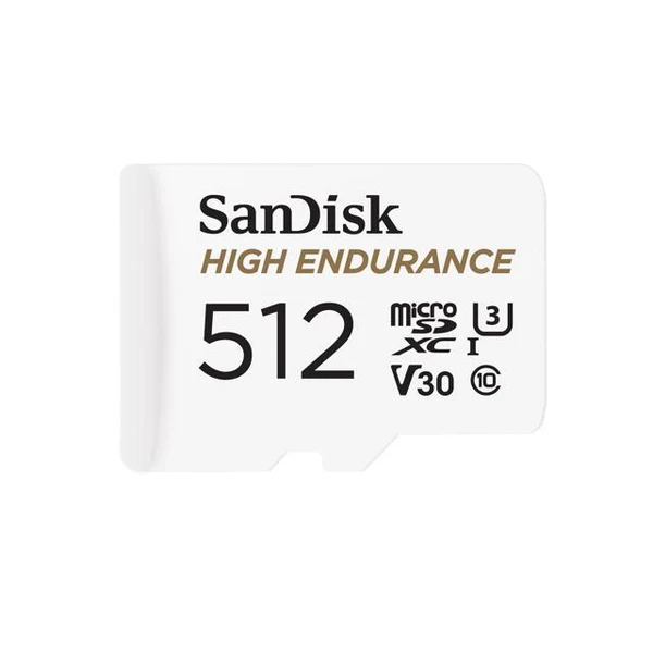 SanDisk High Endurance microSD V30 SD card - 100USD