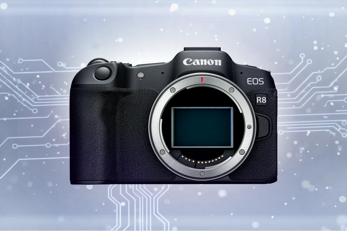 Canon EOS R8 SD card requirements